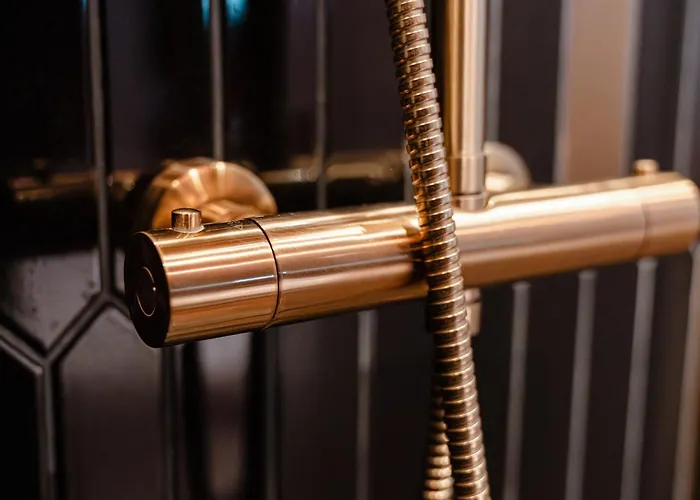 Jacuzzi & Sauna - Or Norme By Le Douze - * Παρίσι