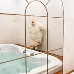 Jacuzzi & Sauna Privatifs - - Or Norme By Le Douze Hodinový hotel